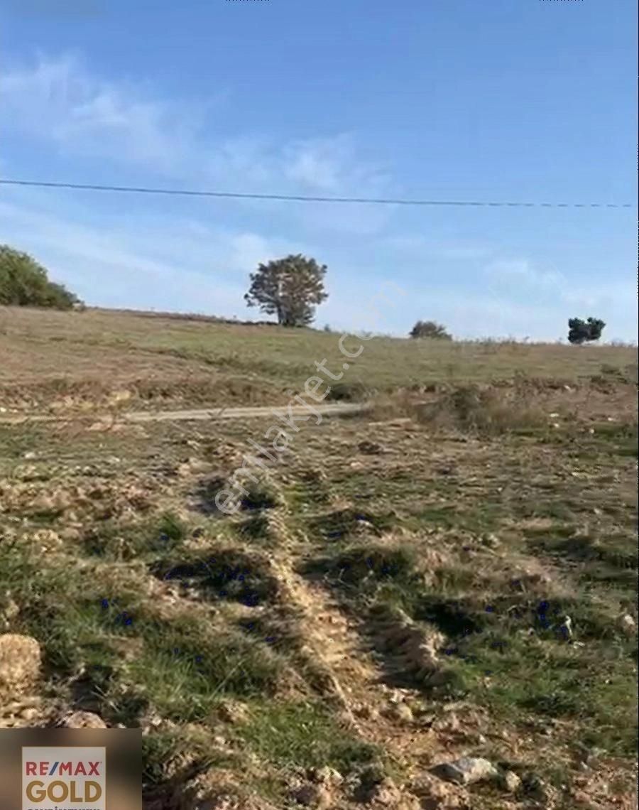 Gebze Ovacık 1.250 M2 Satılık Hisseli Tarla - Görsel 7