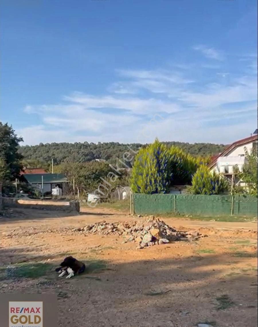 Gebze Ovacık 1.250 M2 Satılık Hisseli Tarla - Görsel 20