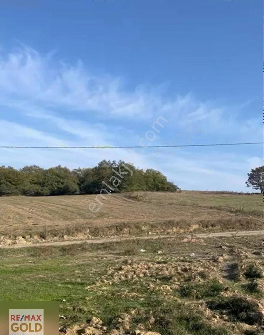 Gebze Ovacık 1.250 M2 Satılık Hisseli Tarla - Görsel 22