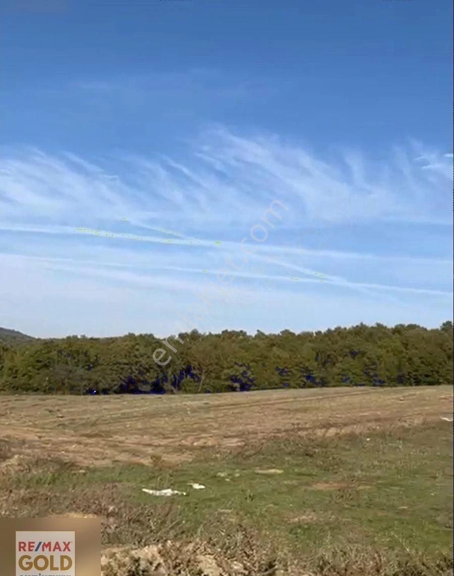 Gebze Ovacık 1.250 M2 Satılık Hisseli Tarla - Görsel 2