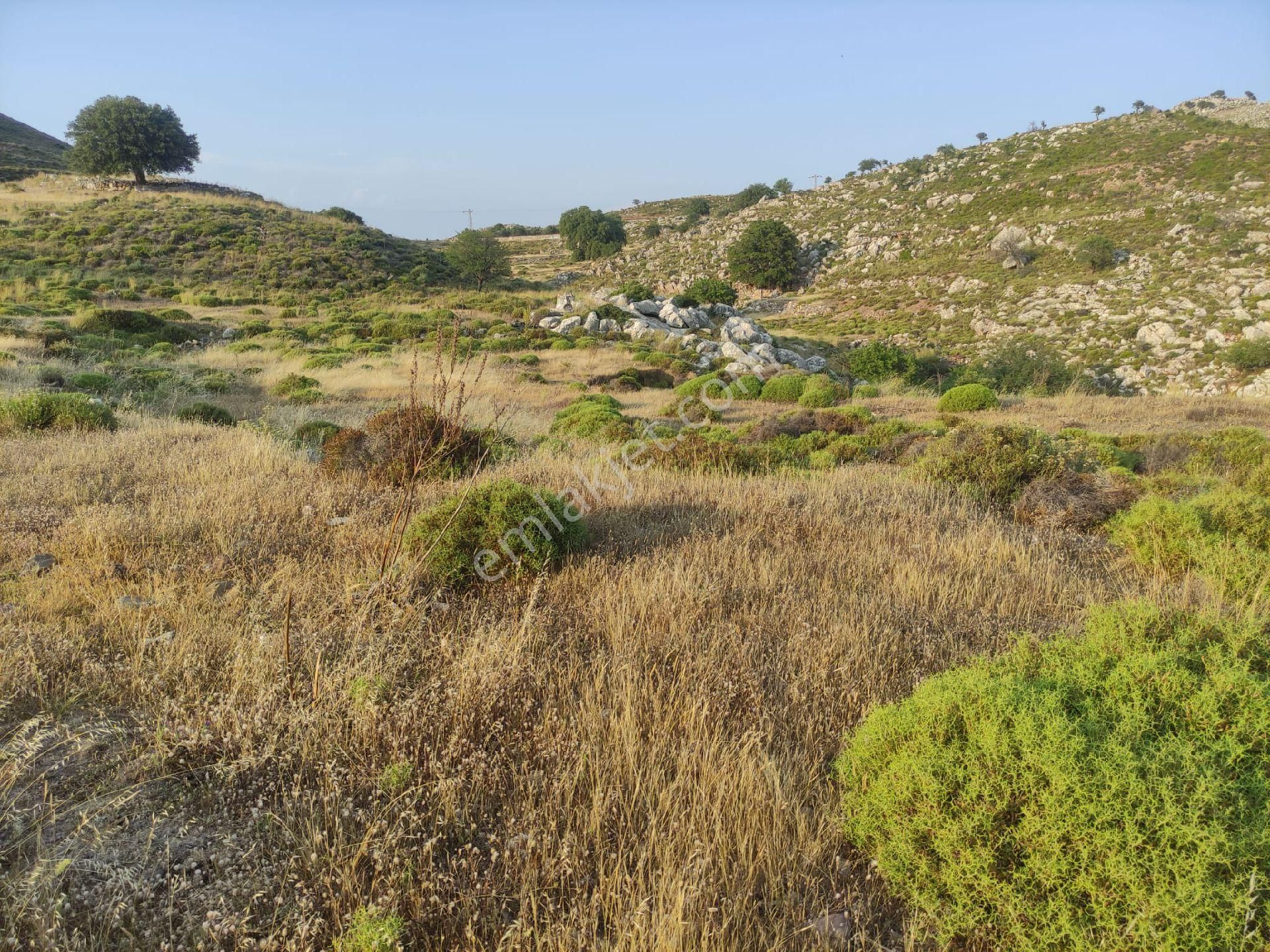 Ebrar&can'dan Yassıbalık 246 Metrekare