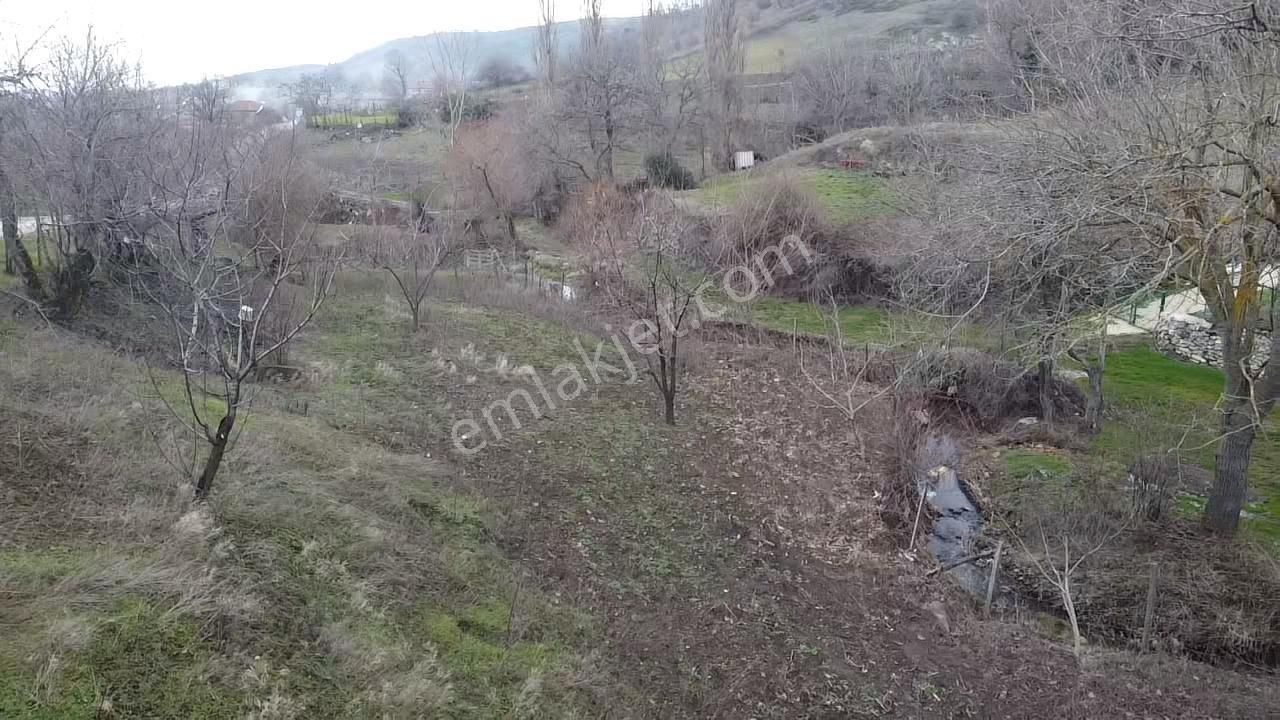 Lapseki Beyçayırı Köyü Satılık Bağ & Bahçe Lapseki Beyçayır'da Ana Yolun Dibinde Harika Bir Bahçe