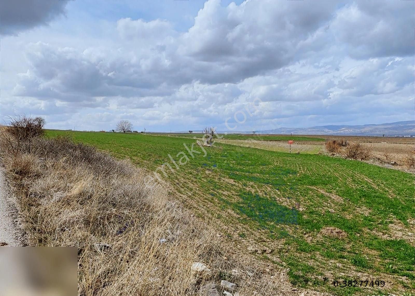 Kahramankazan Ahi Satılık Tarla Kahramankazan Ahi De Tek Ve Kök Tapu Satılık 3192m2