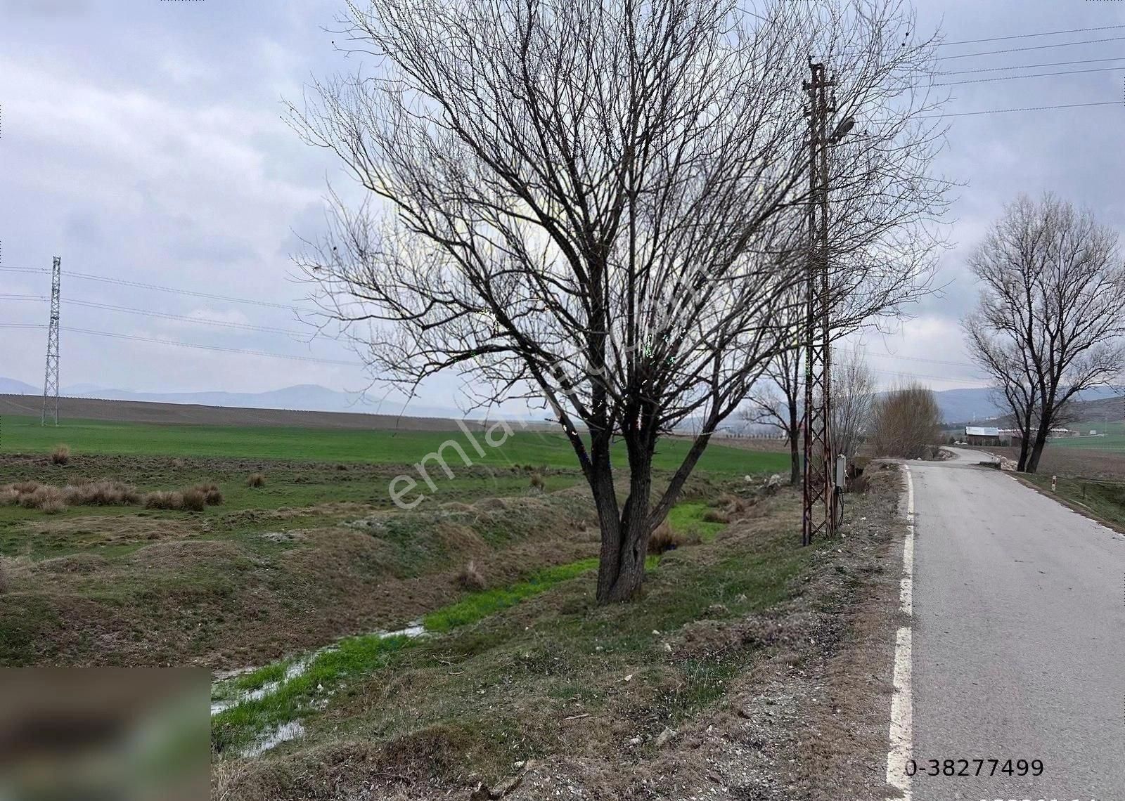 Çubuk Taşpınar Satılık Tarla Çubuk Taşpınar Asfalta Sınır Tek Ve Kök Tapu 23.516m2 Tarla