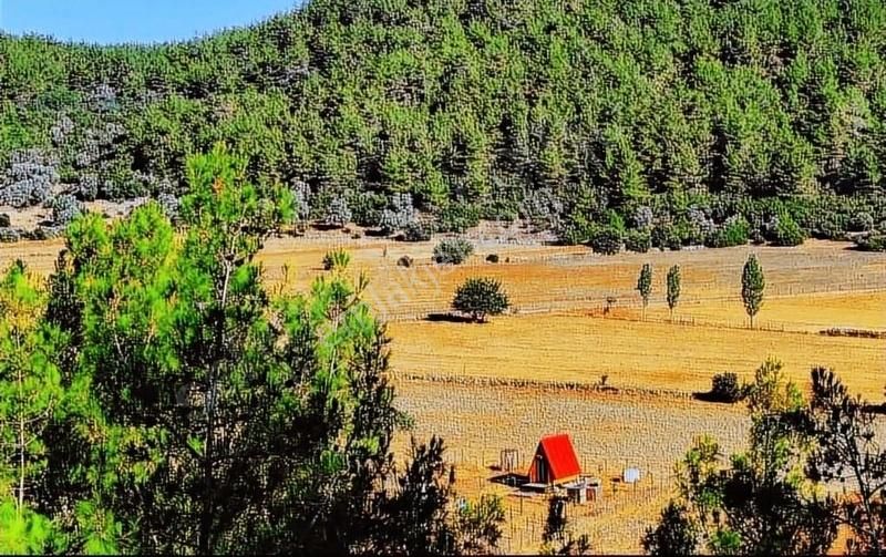 Bodrum Mazıköy Satılık Tarla My Gayrimenkul Den Bodrum Mazı Da Müthiş Tarla