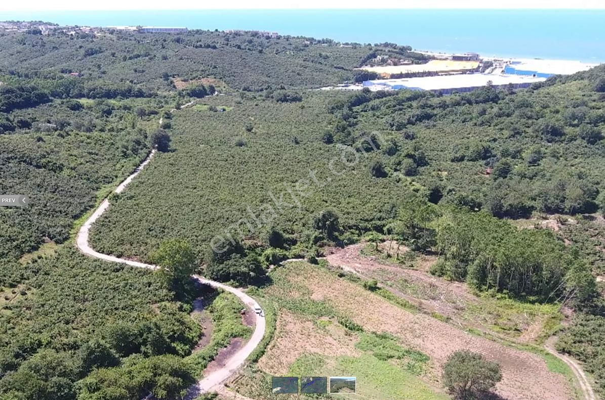 Akçakoca Döngelli Köyü Satılık Sanayi İmarlı Acil Nakit İhtiyacı Nedeniye Tarla Fiyatına Organize Sanayi Bölgesi Arsası