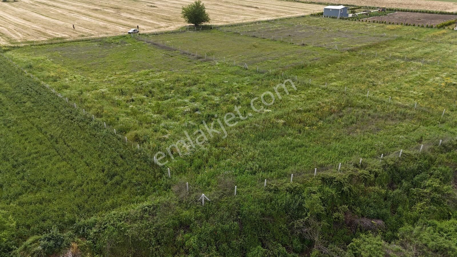 Menderes Altıntepe Satılık Tarla Altıntepede 4080 Elektrik Su Hisse Tapulu Taksimli Köşe Menderes İzmir