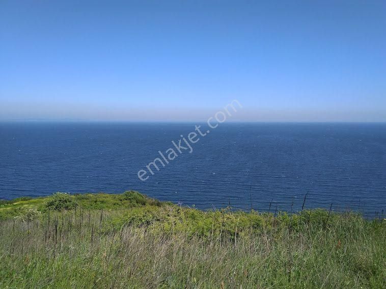 Mudanya Esence Satılık Tarla Mudi Emlak'tan Kapanmaz Deniz Manzaralı, Resmi Tapulu Uygun Fiyata Firsat Tarla