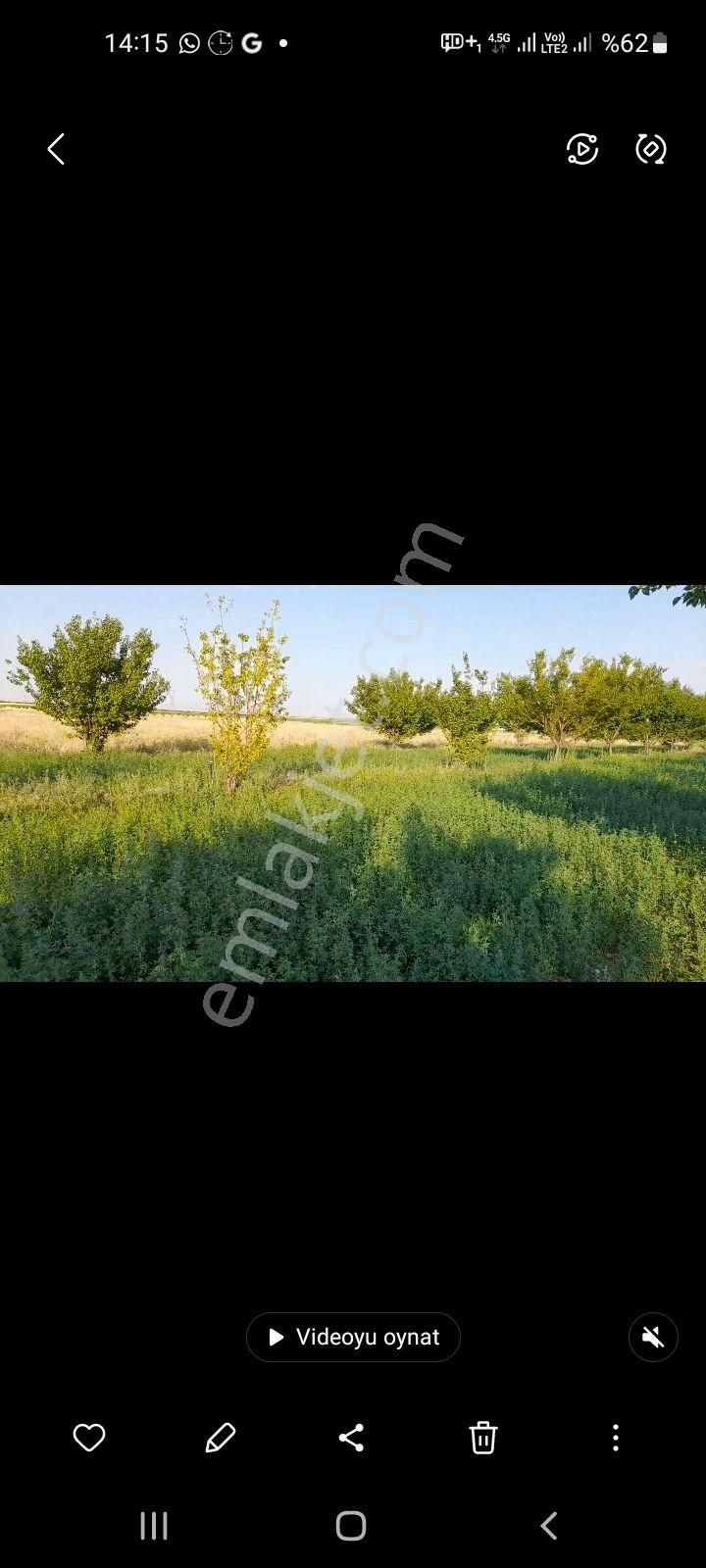 Satlık Sulu Arazı - Görsel 2