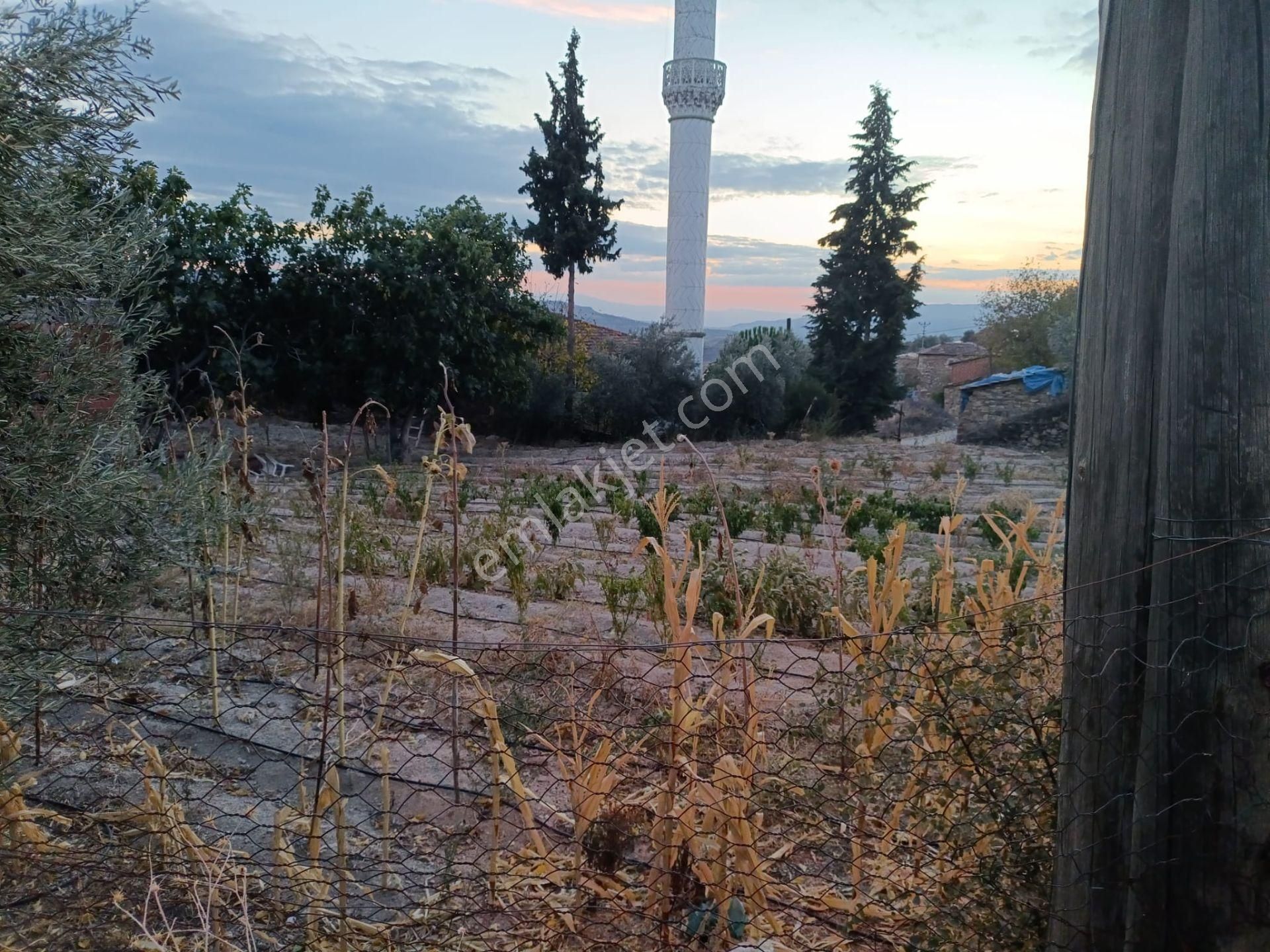 Köprübaşı Yabacı Satılık Konut İmarlı Köy Meydanında Caminin Dibinde Köşe Kupon Yer