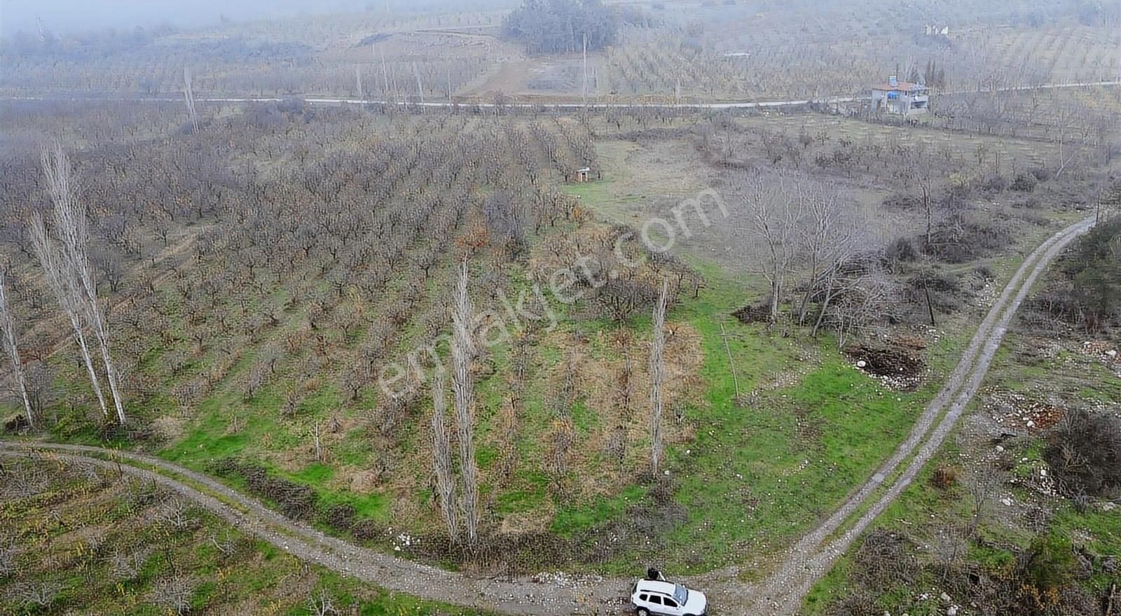 Geyve Burhaniye Satılık Tarla Sng Gayrimenkul'den Burhaniye Mah. 442 M2 Satılık Arazi