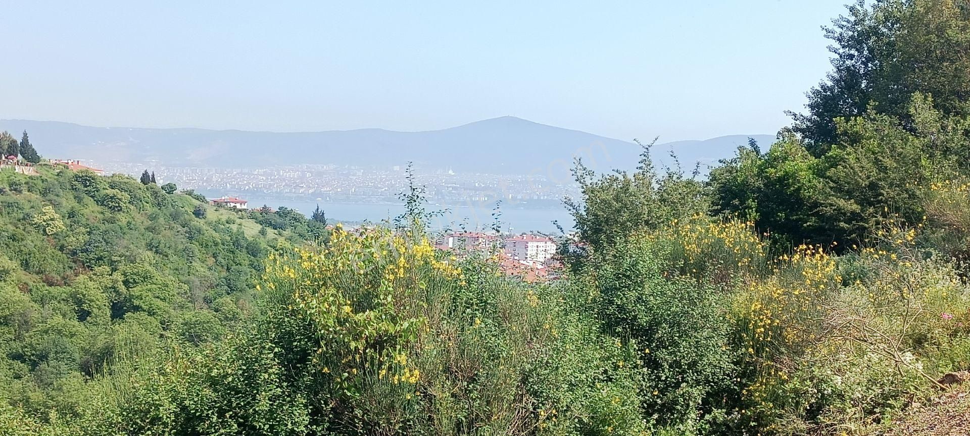 Gölcük Yeni Satılık Konut İmarlı Konut İmarlı Arsa