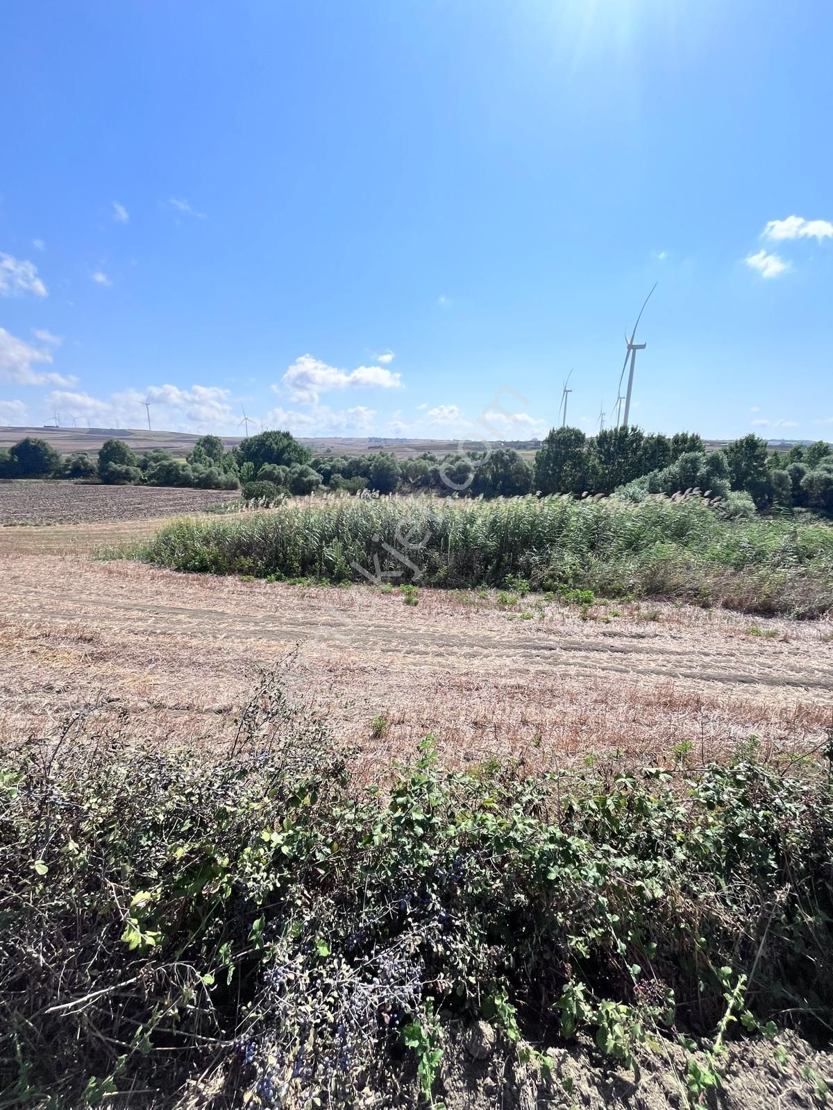 Büyükkılıçlı'da Uygun Fiyatlı 6985 M2 Yatırımlık Tarla - Görsel 8