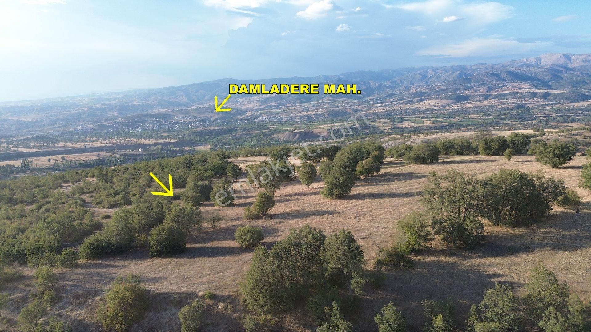 Hamamözü Damladere Köyü Satılık Tarla Amasya / Hamamözü / Damladere'de 1.435 M² Müstakil Tapulu Tarla