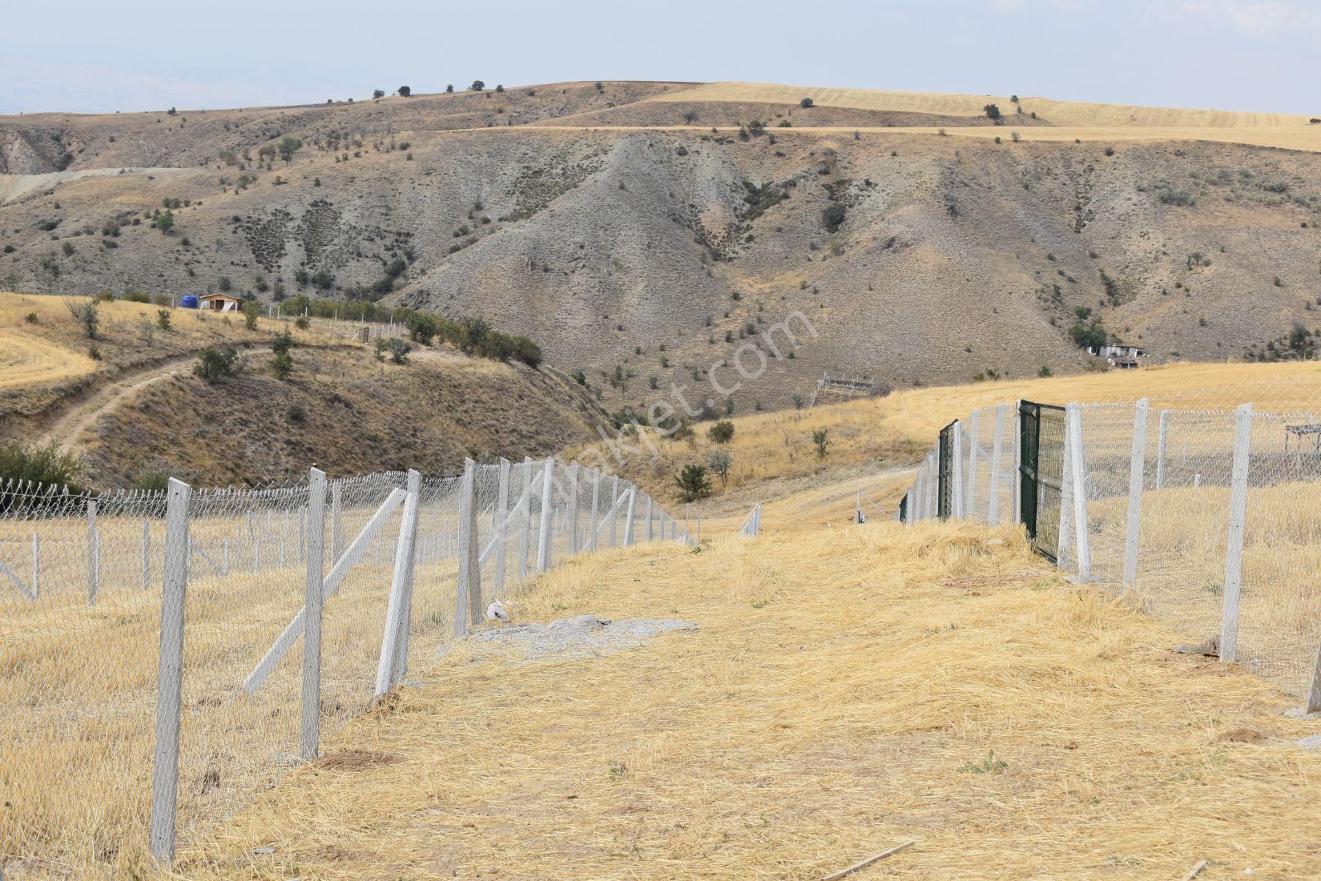 Altındağ Aydıncık Satılık Bağ & Bahçe Çözüm Emlak 'tan Aydıncık'ta 400m2 Telli Kapılı Köy Merkezine Yakın Kooparatif