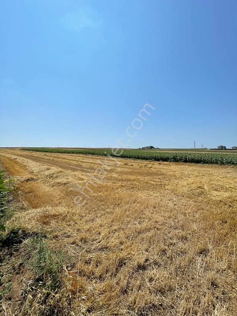 Silivri Alipaşada 5 Kat Konut İmarlı 6232 M2 Arsa - Görsel 8