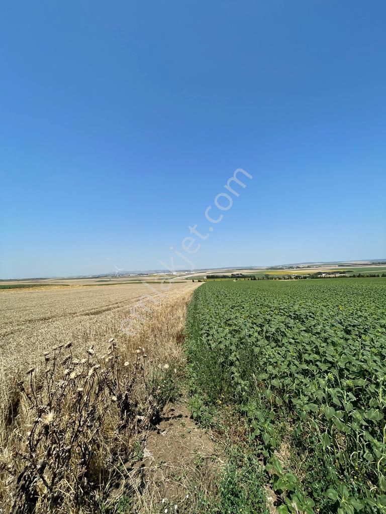 Silivri Alipaşada 5 Kat Konut İmarlı 6232 M2 Arsa - Görsel 12