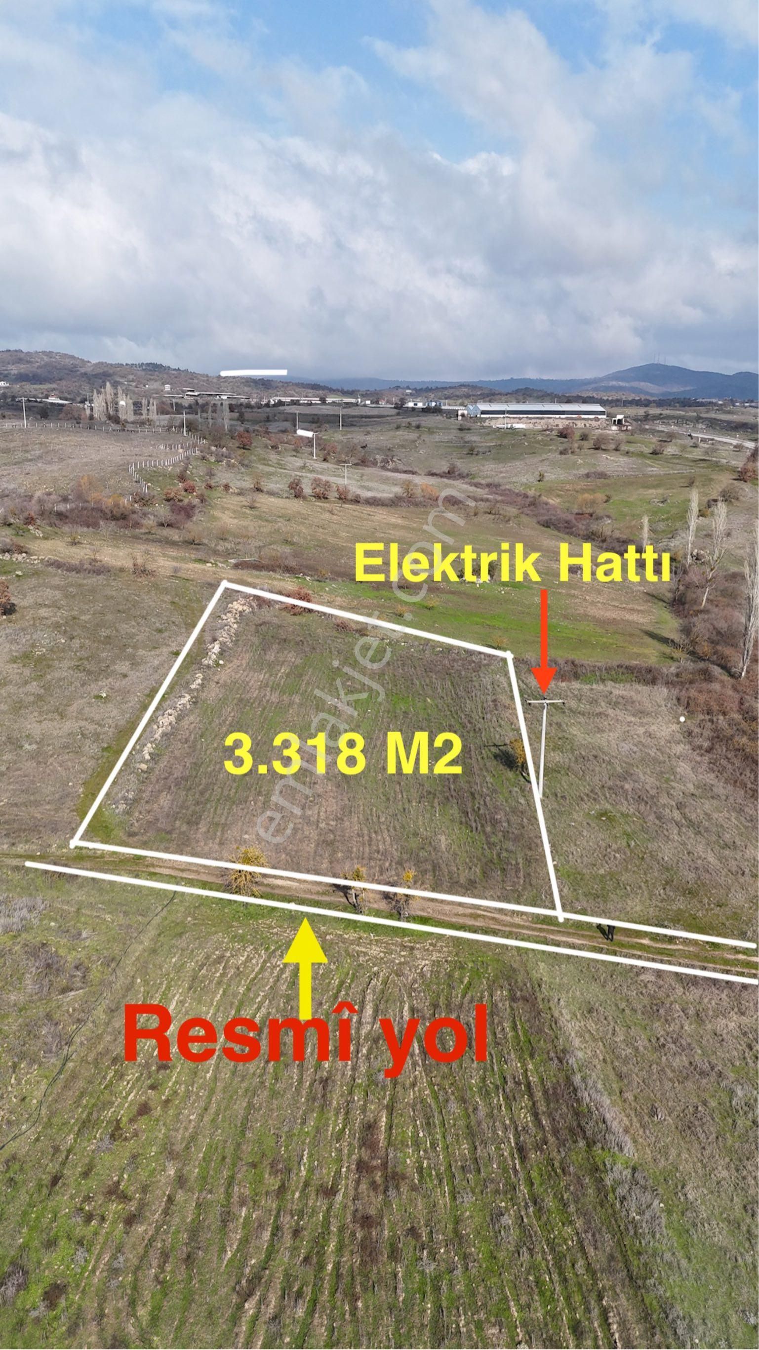 Sındırgı Süller Satılık Tarla Sındırgı’da Ana Asfalt Yol Dibinde Satılık 3.318 M2 Tarla