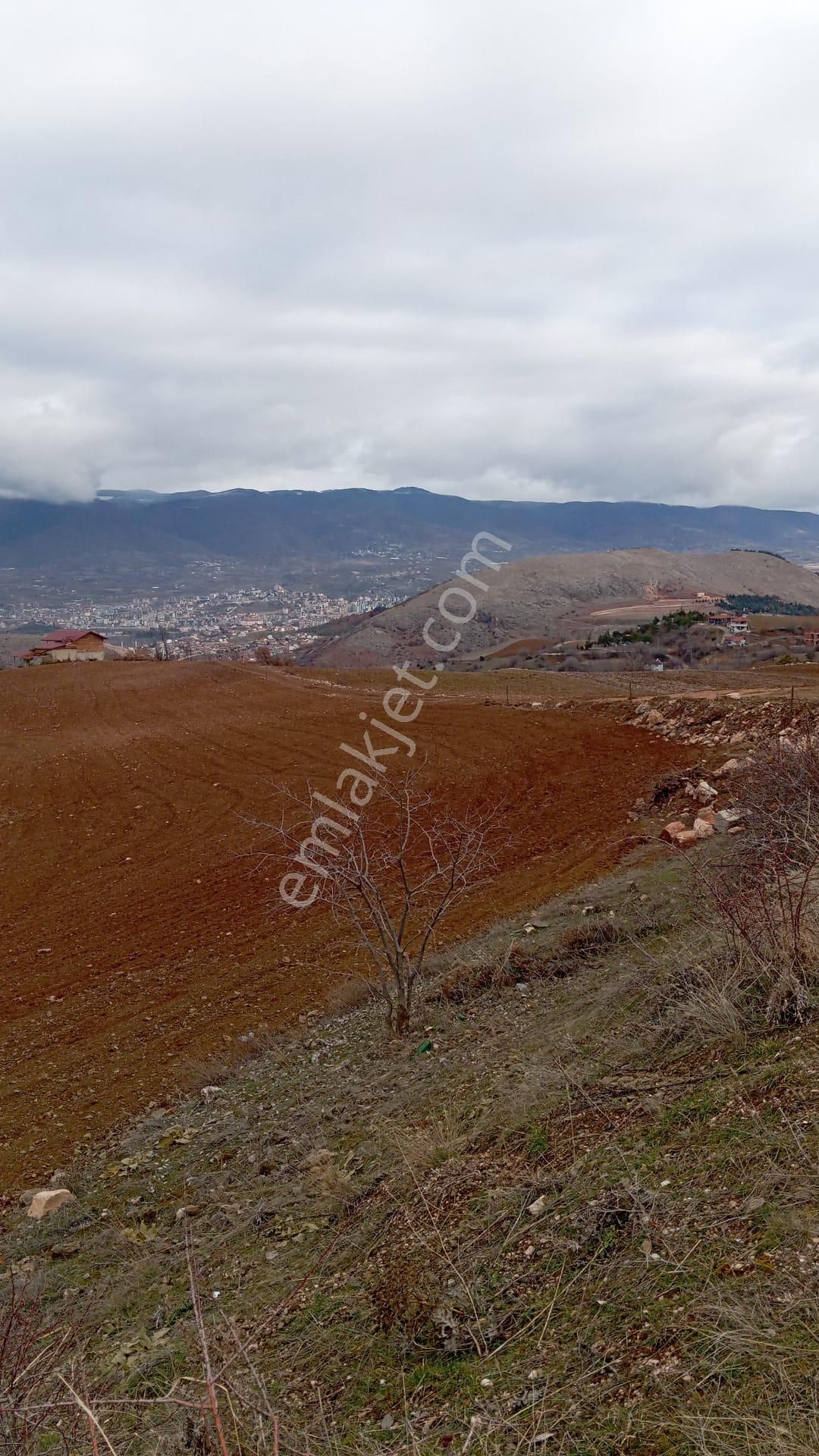 Tokat Merkez Derbent Satılık Tarla Tokat Merkez Ankara Mahallesinde 13 Dönüm Tek Tapu Anayol Üzeri