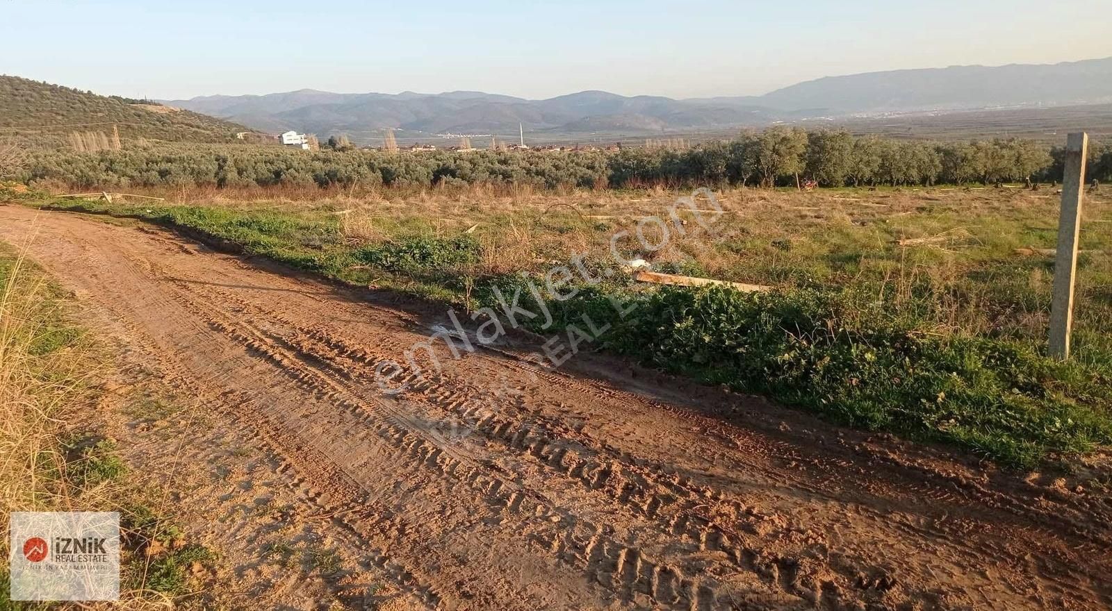 İznik Orhaniye Satılık Tarla İznik Akköy'de Ovada Satılık Arazi 2 Dönüm