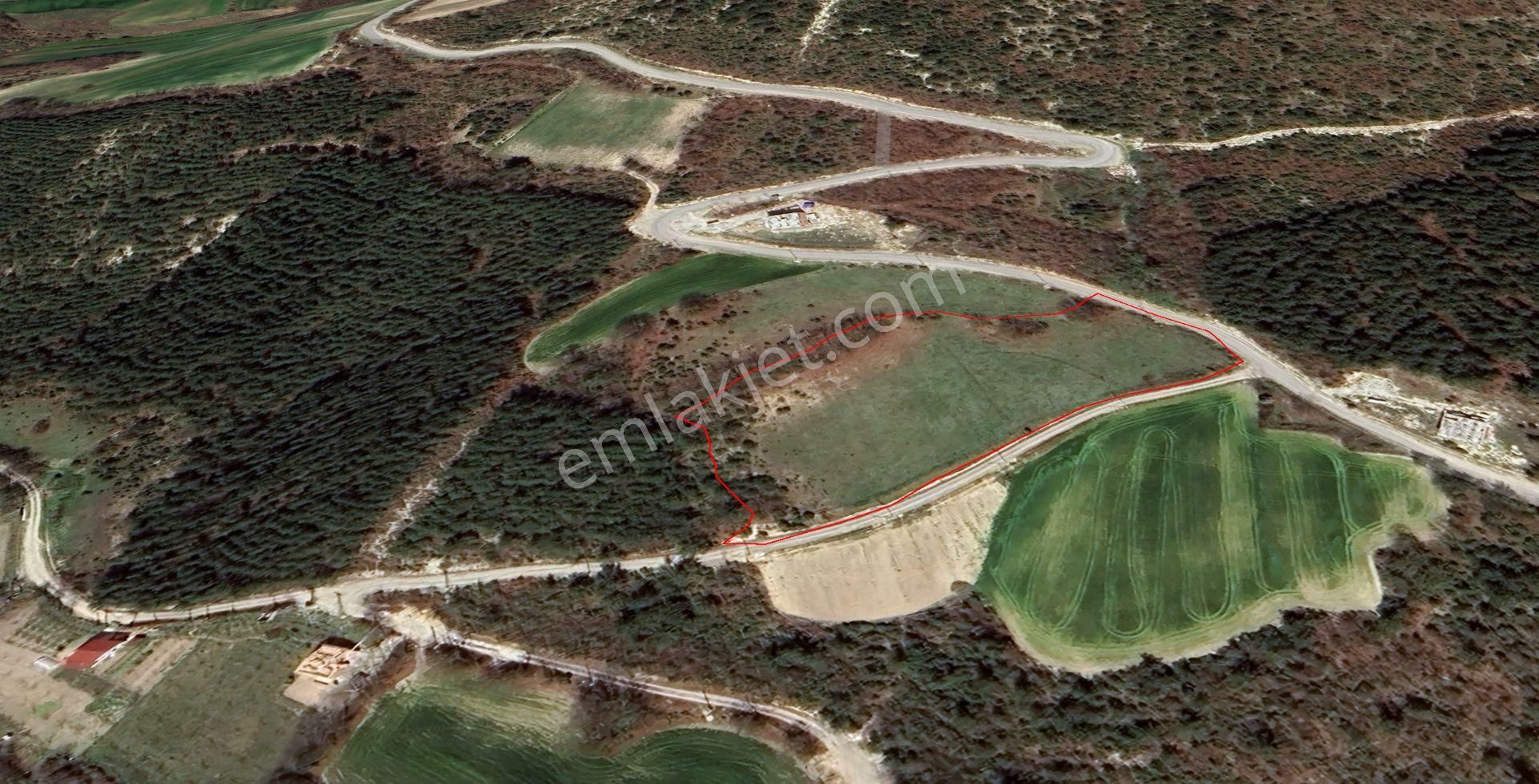 Samsun Çatmaoluk 9000 M2 Satılık Arsa