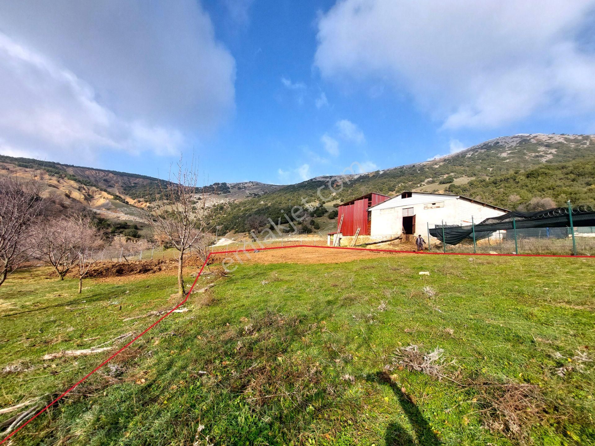 Gemlik Şahinyurdu Satılık Tarla C21 Cius; Şahinyurdu Köyünde Satılık 675m² Tarla