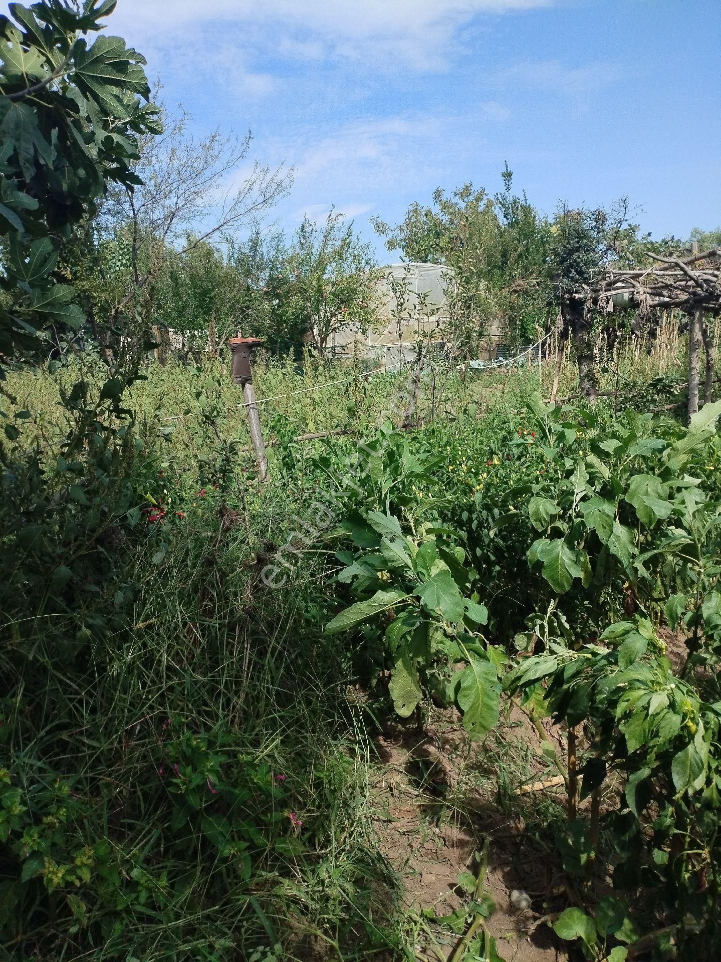 Satılık Parsel - Görsel 16