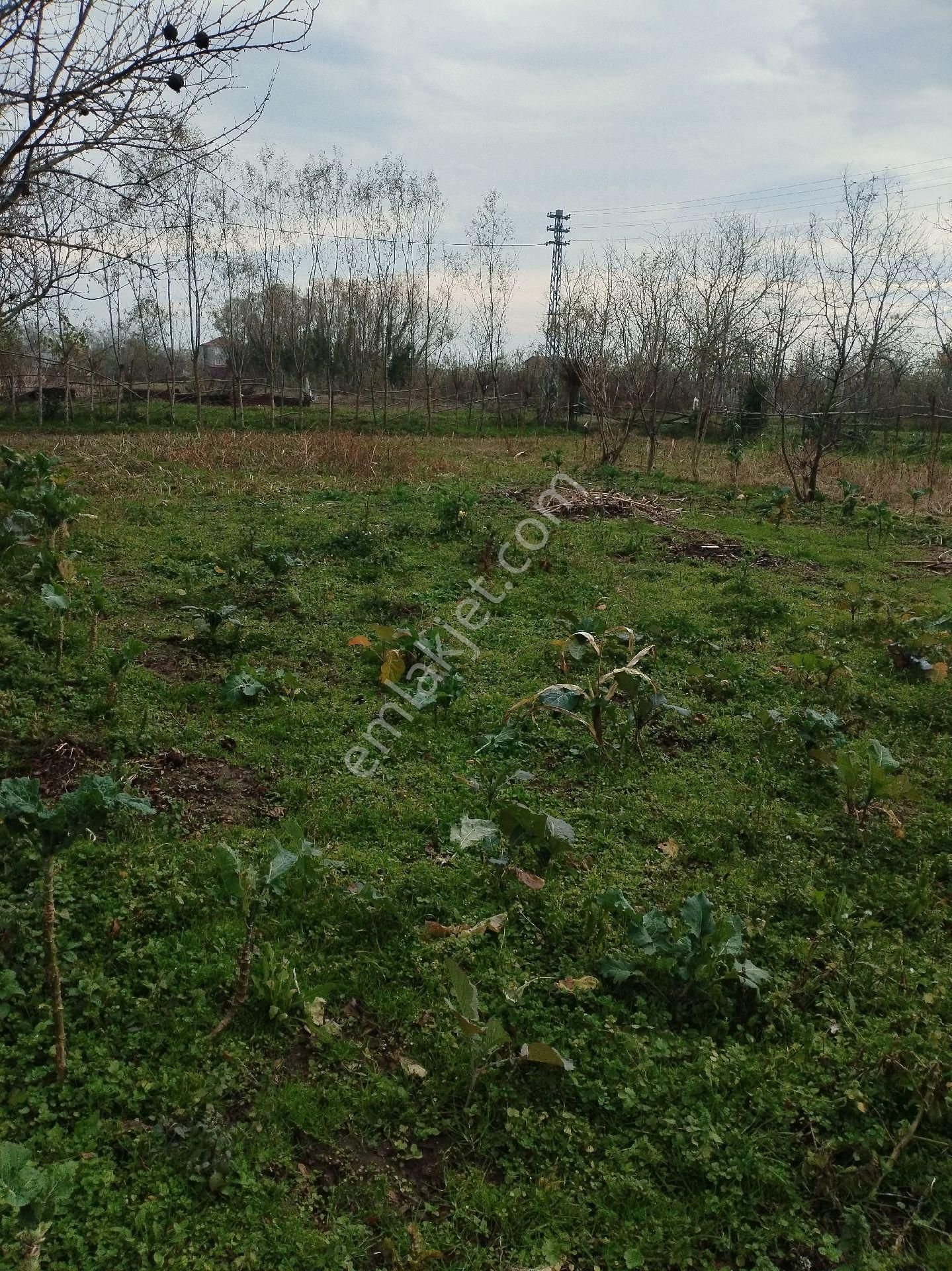 Satılık Parsel - Görsel 4