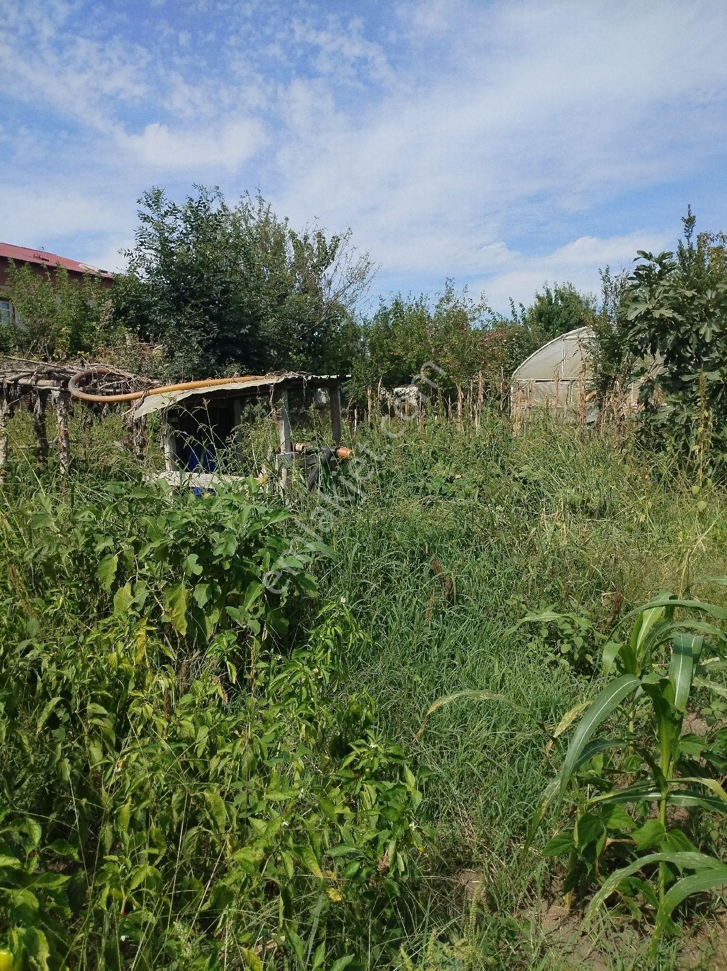 Satılık Parsel - Görsel 15