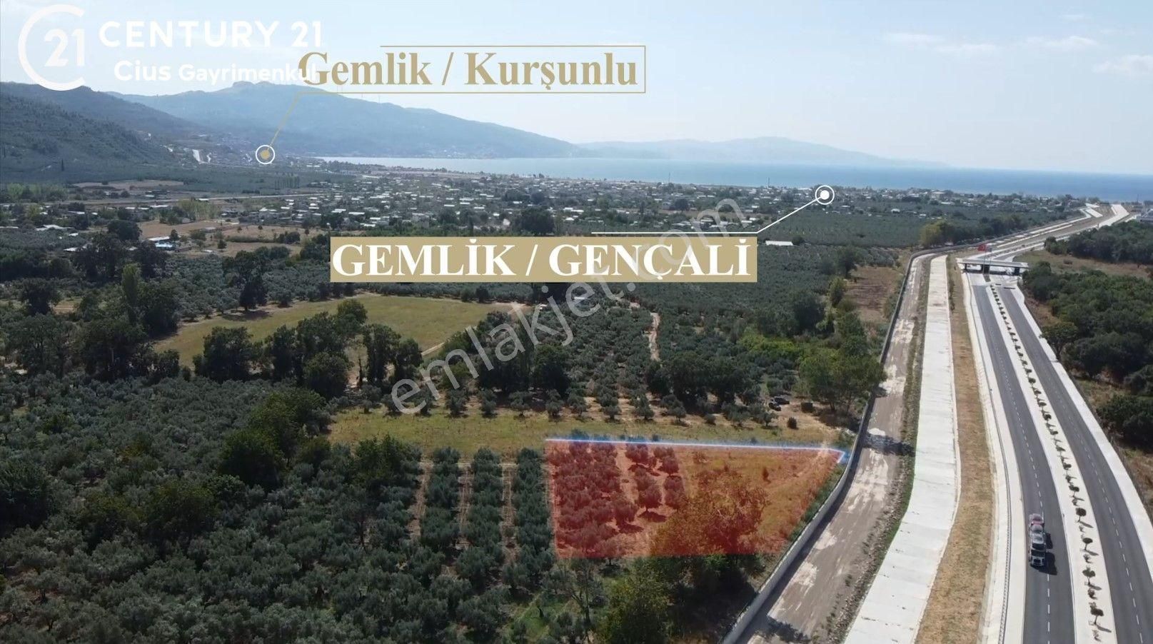 Gemlik Gençali Satılık Bağ & Bahçe C21 Cius ; Togg Yolu Yatırım Fırsat 2220 M2 Arsa