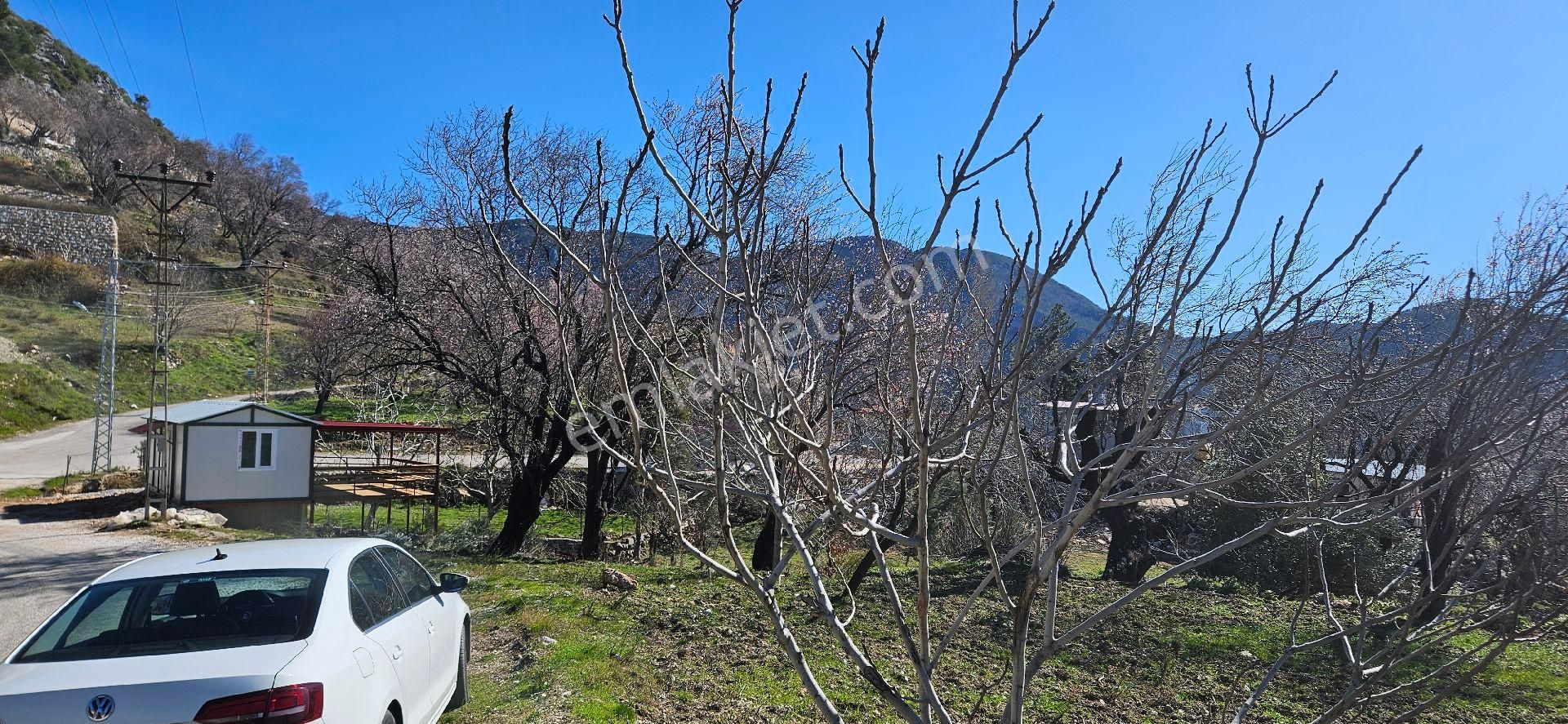 Alanya Bademağacı Full Deniz Manzaralı Satılık 2 Parsel Yan Yana 400 Metre Asfalt Yoluna Cepheli - Görsel 5