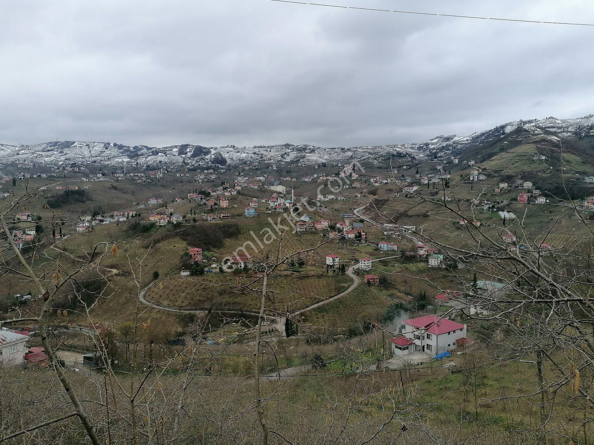 Ortahisar Uğurlu Satılık Konut İmarlı Bulut Emlak Uğurluda Satılık 638 M2 Fındık Bahçesi