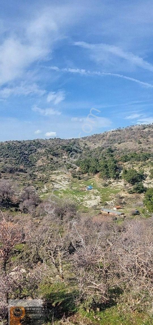 Dikili Nebiler Köyü Deniz Gören Asfalt Yola Cepheli İçinde Elektrik Su Olan 21.200 M. Satılık Tarla - Görsel 10