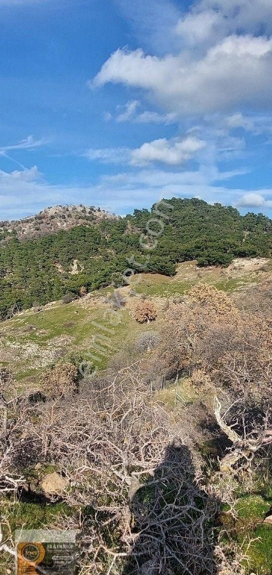 Dikili Nebiler Köyü Deniz Gören Asfalt Yola Cepheli İçinde Elektrik Su Olan 21.200 M. Satılık Tarla - Görsel 8
