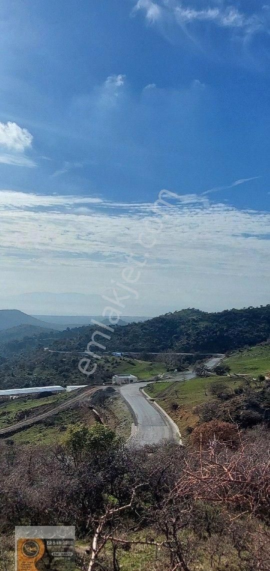 Dikili Nebiler Köyü Deniz Gören Asfalt Yola Cepheli İçinde Elektrik Su Olan 21.200 M. Satılık Tarla - Görsel 3