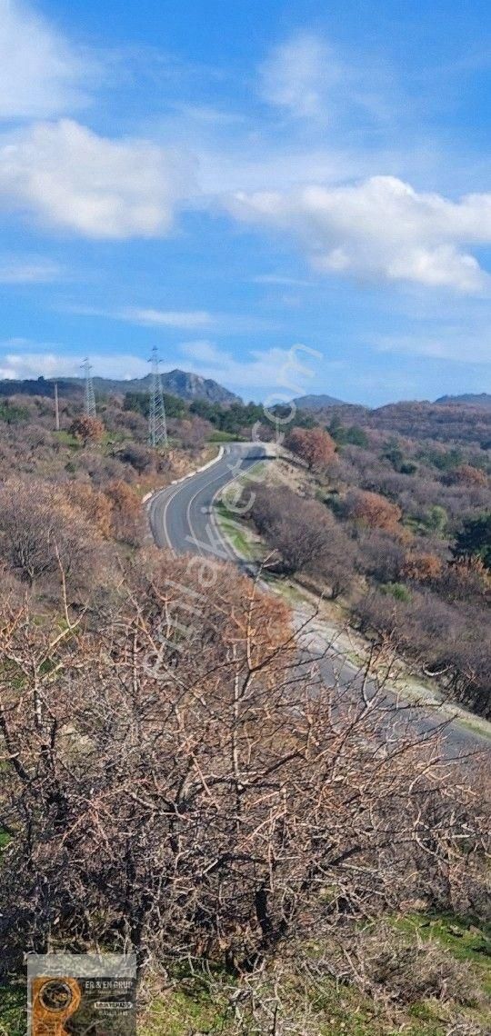 Dikili Nebiler Köyü Deniz Gören Asfalt Yola Cepheli İçinde Elektrik Su Olan 21.200 M. Satılık Tarla - Görsel 5