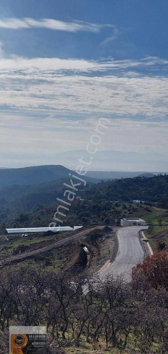 Dikili Nebiler Köyü Deniz Gören Asfalt Yola Cepheli İçinde Elektrik Su Olan 21.200 M. Satılık Tarla - Görsel 16