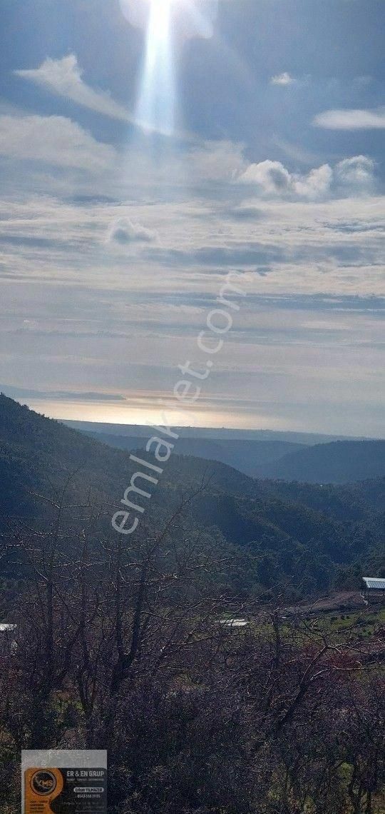 Dikili Nebiler Satılık Tarla Dikili Nebiler Köyü Deniz Gören Asfalt Yola Cepheli İçinde Elektrik Su Olan 21.200 M. Satılık Tarla