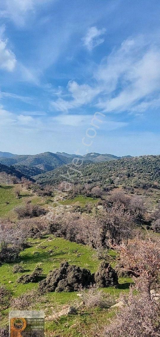 Dikili Nebiler Köyü Deniz Gören Asfalt Yola Cepheli İçinde Elektrik Su Olan 21.200 M. Satılık Tarla - Görsel 15