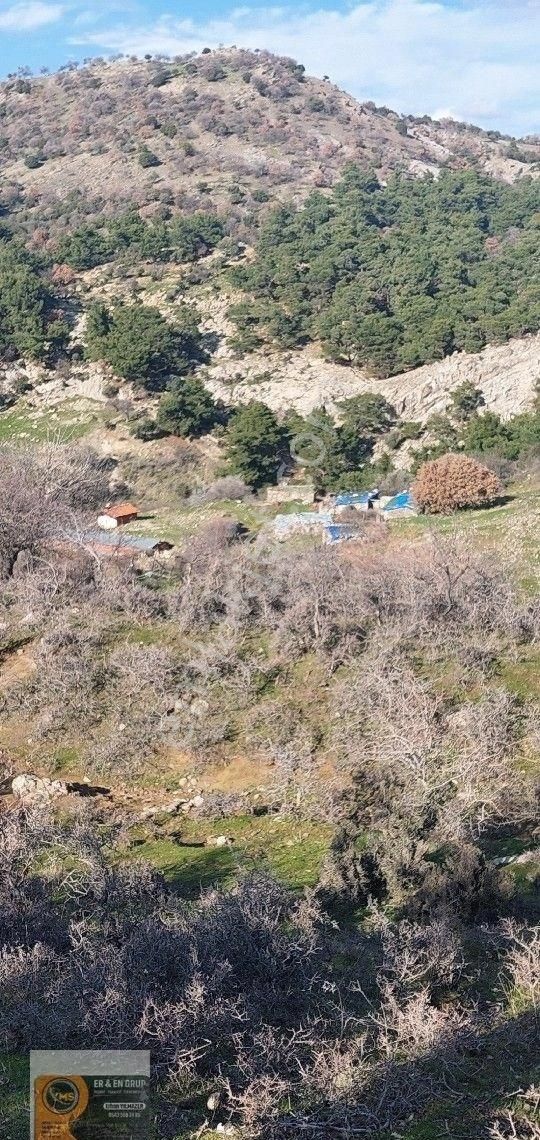 Dikili Nebiler Köyü Deniz Gören Asfalt Yola Cepheli İçinde Elektrik Su Olan 21.200 M. Satılık Tarla - Görsel 2