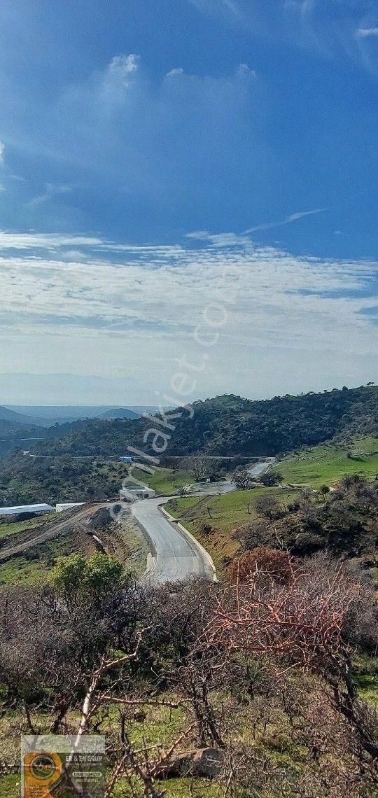 Dikili Nebiler Köyü Deniz Gören Asfalt Yola Cepheli İçinde Elektrik Su Olan 21.200 M. Satılık Tarla - Görsel 12