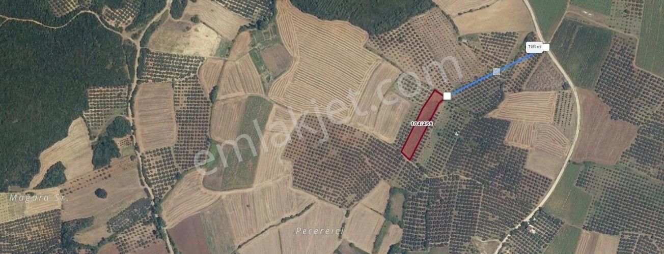 Kapital'den Mudanya Söğütpınar'da Müstakil Tapu 2702m2 Zeytinlik - Görsel 5