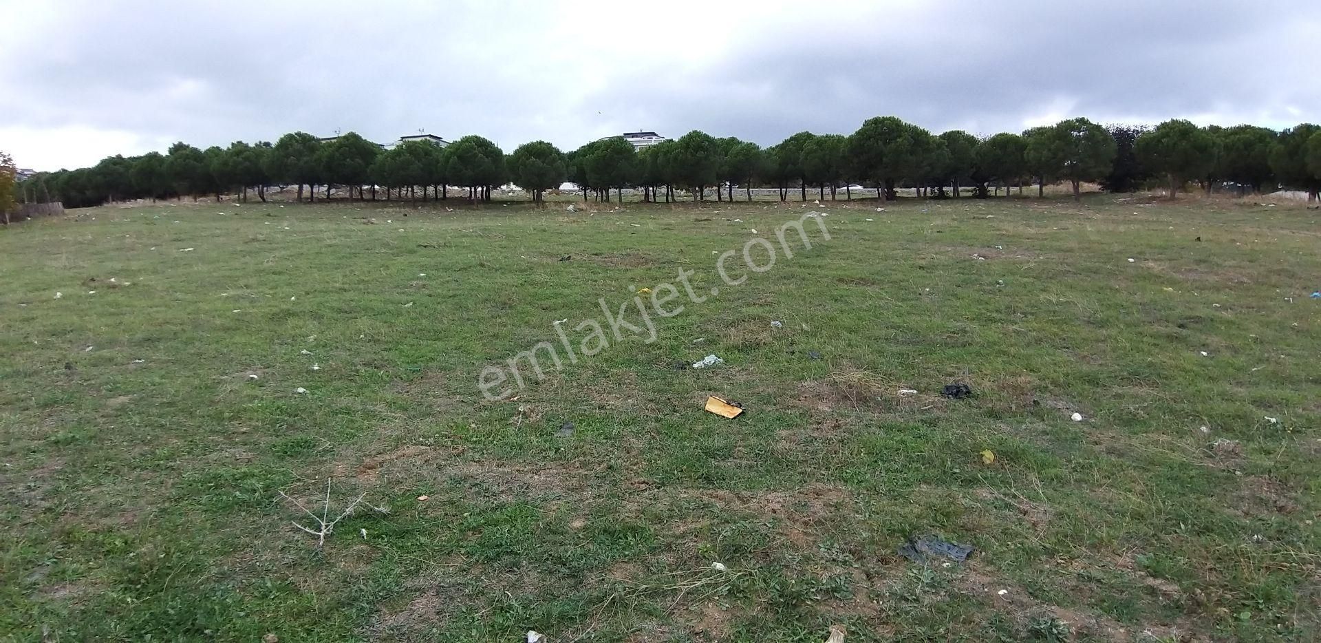 Yankı'dan Firuzköy'de İmarlı Göl Manzaralı Satılık Arsa - Görsel 16