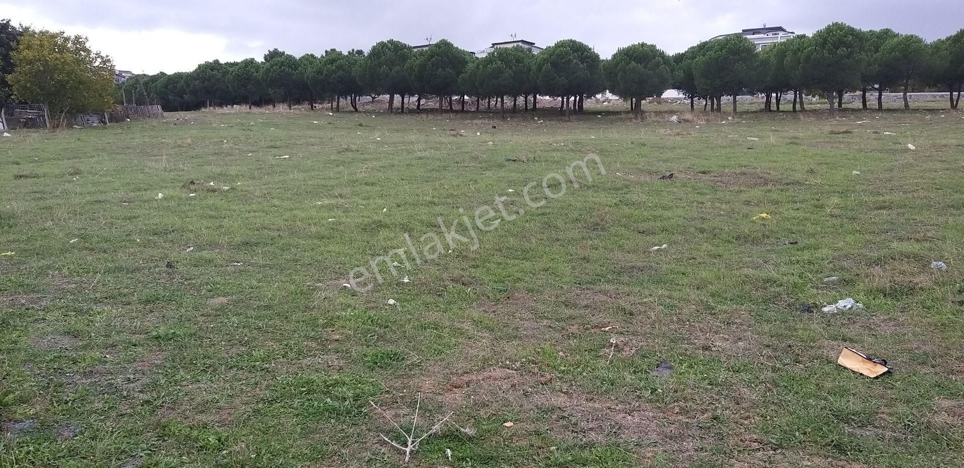 Yankı'dan Firuzköy'de İmarlı Göl Manzaralı Satılık Arsa - Görsel 14