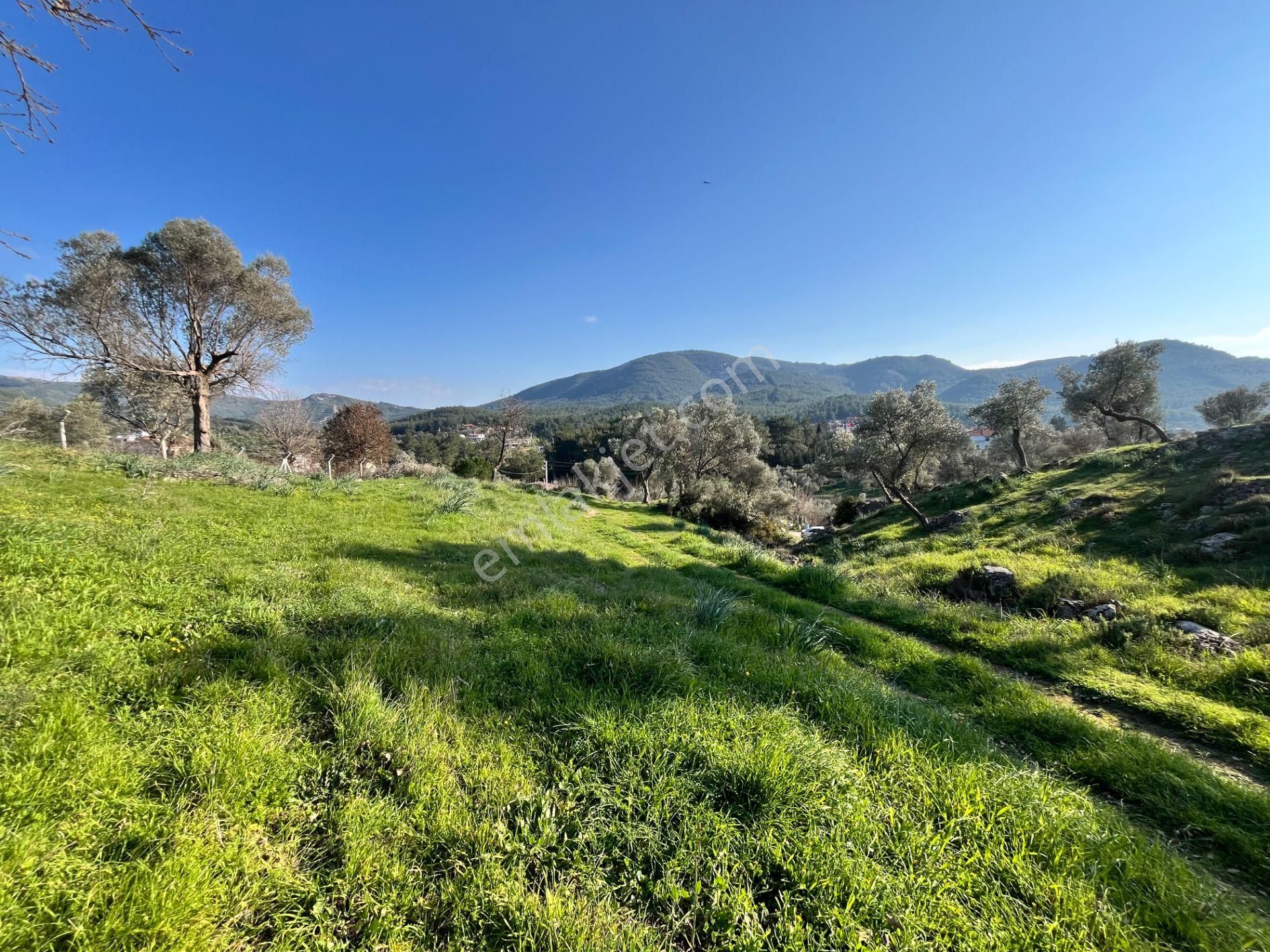Seferihisar Orhanlı’da 10.000 M² Kadastral Yola Cepheli, Panoramik Doğa Manzaralı Satılık Arsa - Görsel 3