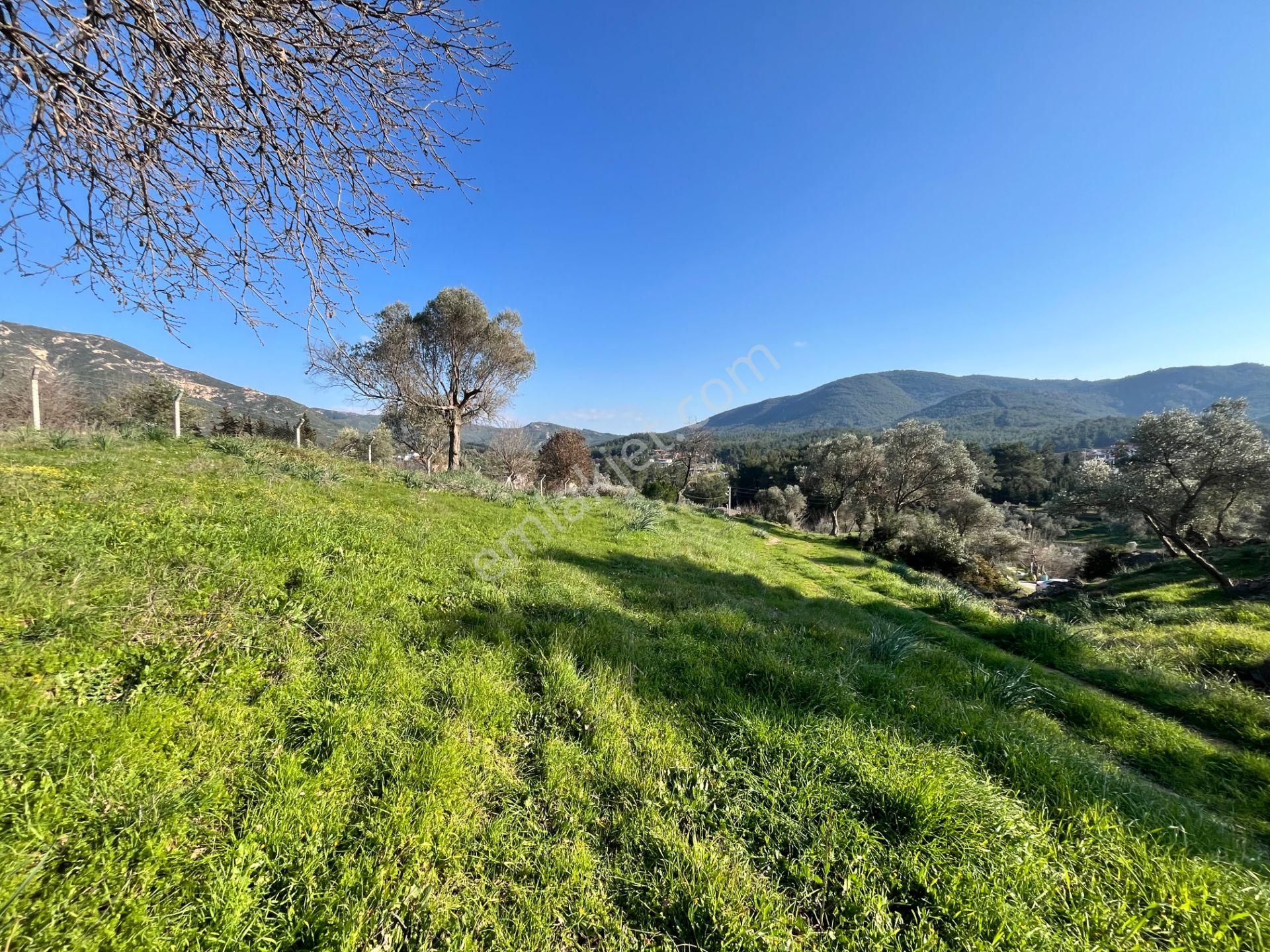 Seferihisar Orhanlı’da 10.000 M² Kadastral Yola Cepheli, Panoramik Doğa Manzaralı Satılık Arsa - Görsel 8