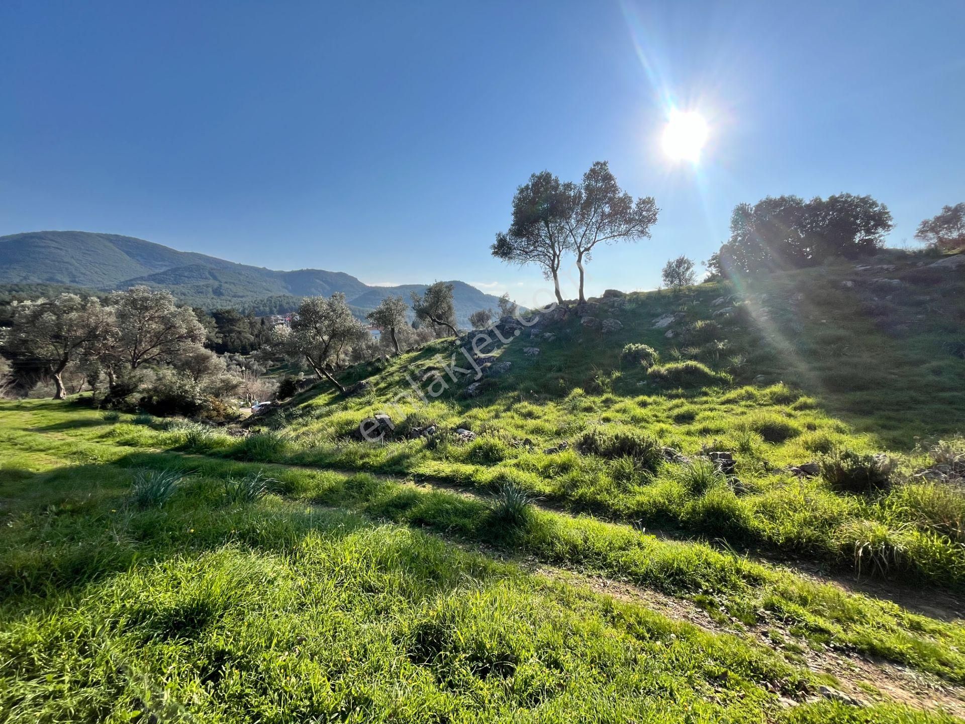 Seferihisar Orhanlı’da 10.000 M² Kadastral Yola Cepheli, Panoramik Doğa Manzaralı Satılık Arsa - Görsel 10