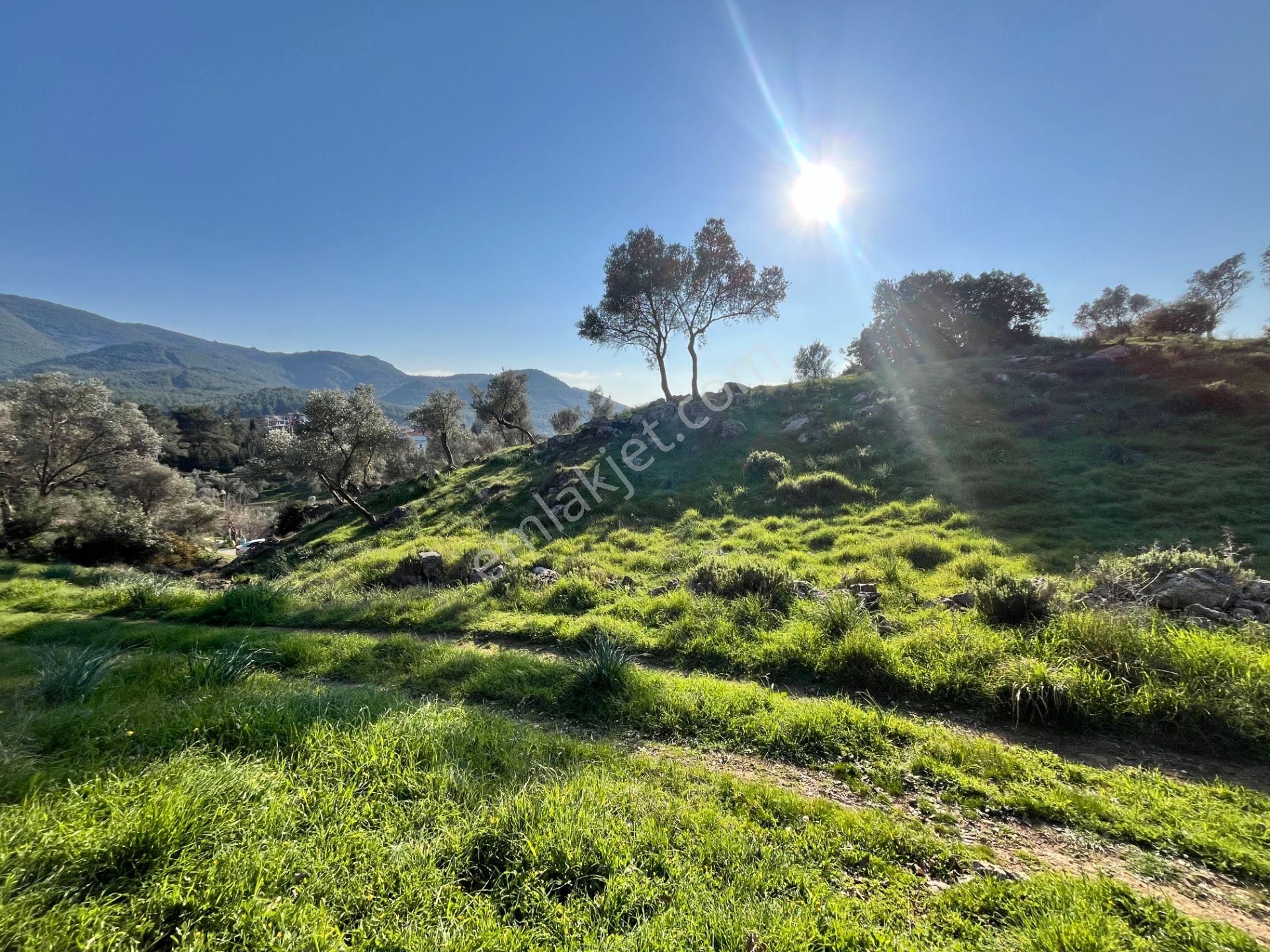 Seferihisar Orhanlı Satılık Bağ & Bahçe Seferihisar Orhanlı’da 10.000 M² Kadastral Yola Cepheli, Panoramik Doğa Manzaralı Satılık Arsa