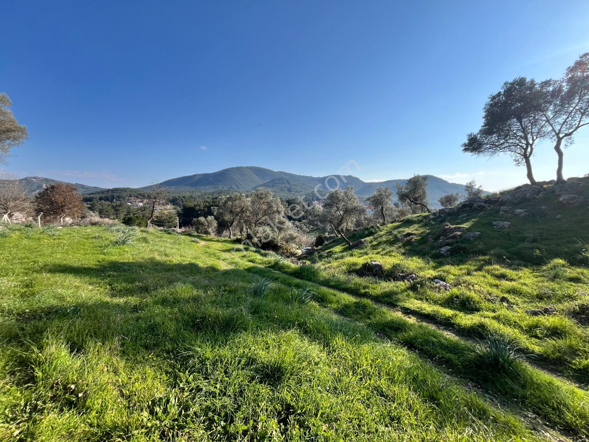 Seferihisar Orhanlı’da 10.000 M² Kadastral Yola Cepheli, Panoramik Doğa Manzaralı Satılık Arsa - Görsel 16