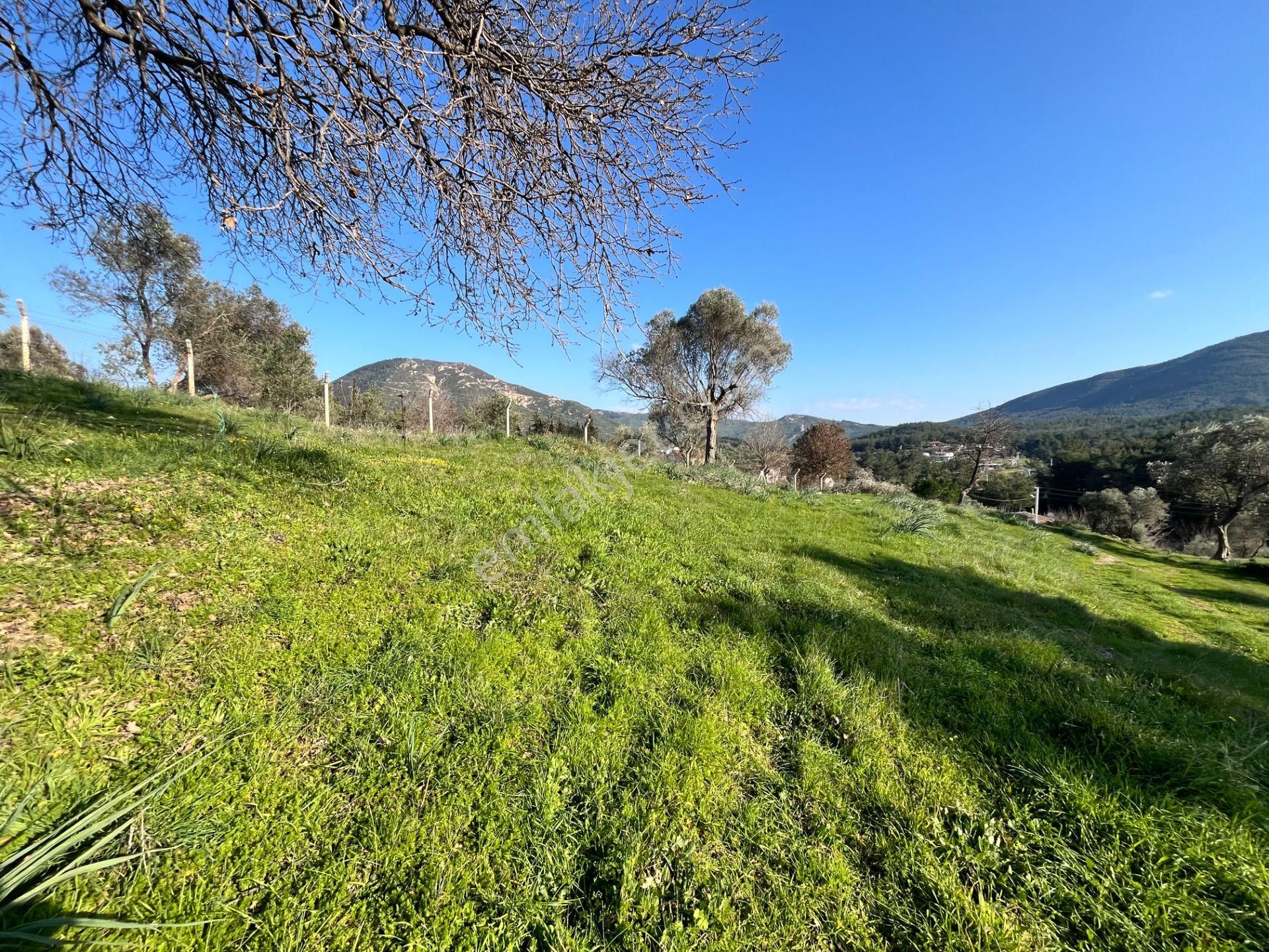 Seferihisar Orhanlı’da 10.000 M² Kadastral Yola Cepheli, Panoramik Doğa Manzaralı Satılık Arsa - Görsel 13